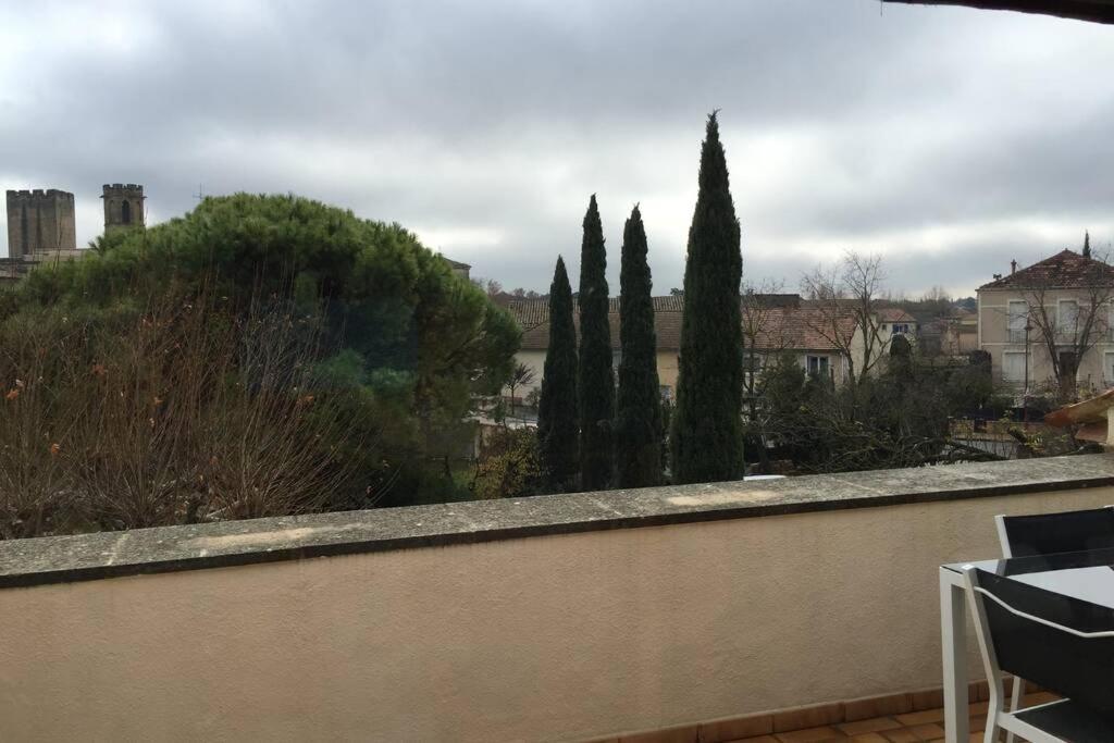 Duplex Lumineux Sur Gde Terrasse, Balneo Double, Parking Prive, Clim, Local Velos Entraigues-sur-la-Sorgue Eksteriør billede